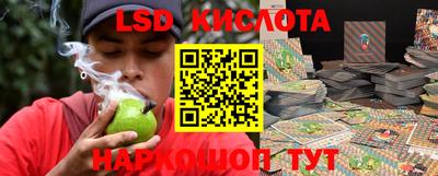 МДПВ Бийск