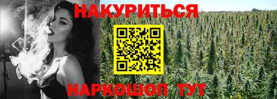 МДПВ Бийск