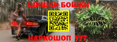 МДПВ Бийск
